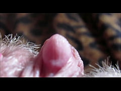 big clit orgasm closeup